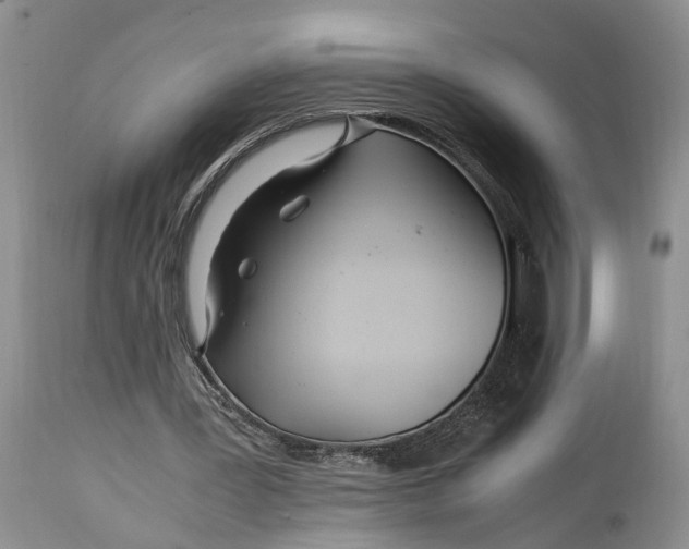 X0000114560387200911091223