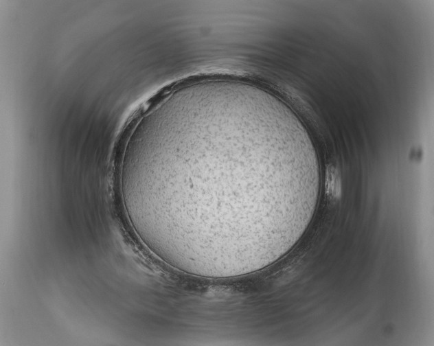 X0000114560388200911091223