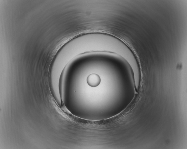 X0000114560389200911091223