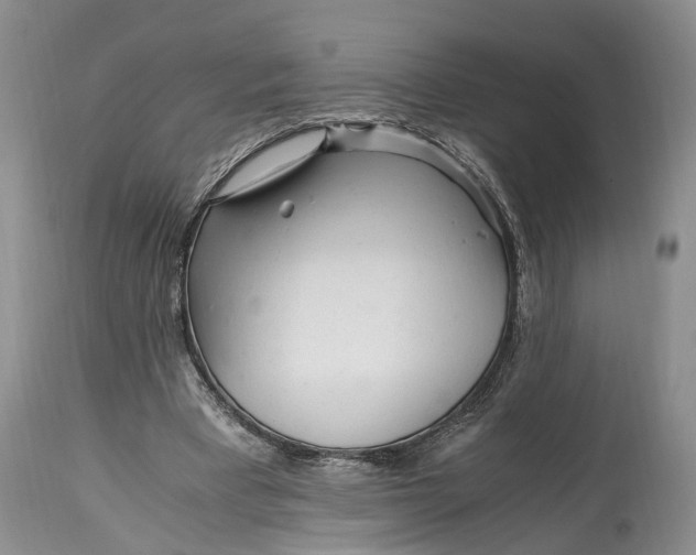 X0000114560393200911091223