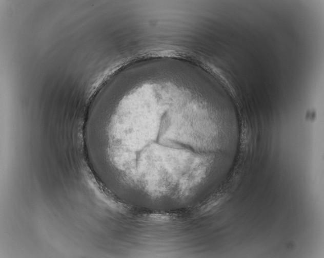 X0000114560394200911091223