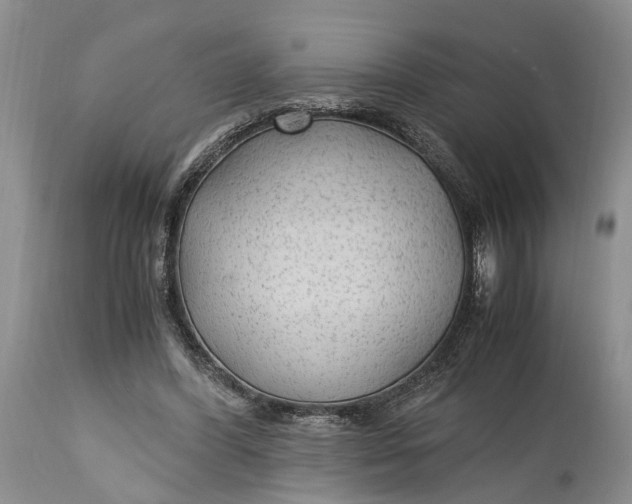 X0000114560396200911091223