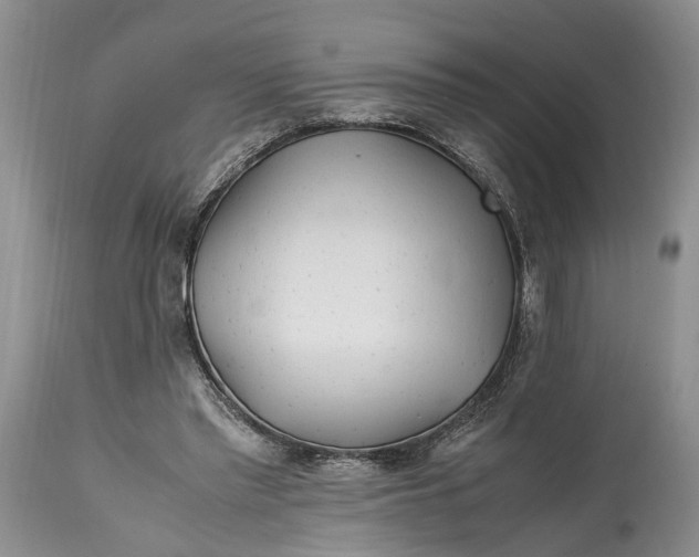 X0000114560397200911091223