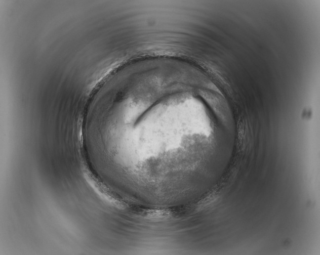 X0000114560398200911091223