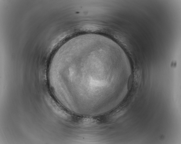 X0000114560399200911091223