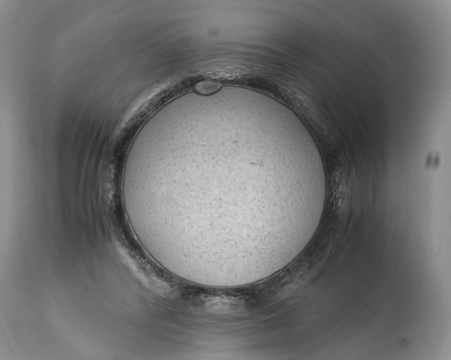 X0000114560400200911091223