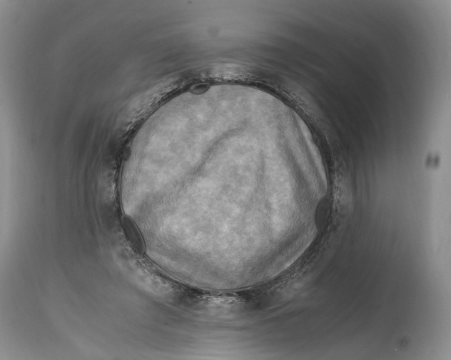X0000114560401200911091222