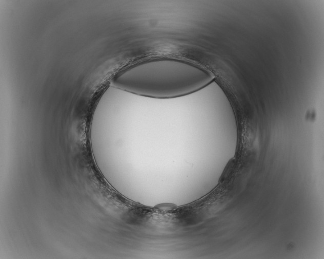 X0000114560403200911091222