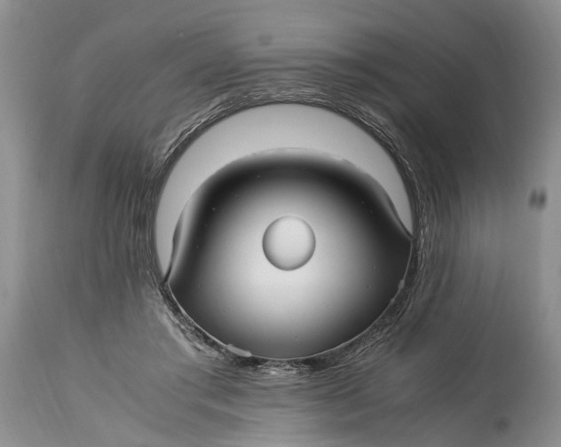 X0000114560405200911091222