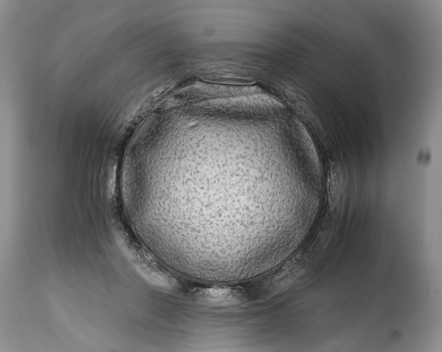 X0000114560406200911091222