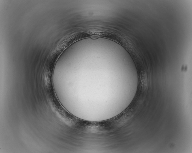 X0000114560408200911091222
