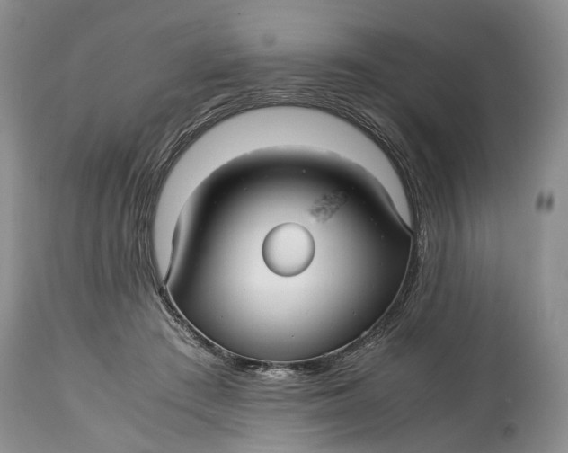 X0000114560409200911091222