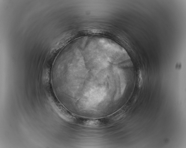 X0000114560410200911091222