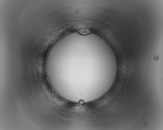 X0000114560416200911091222