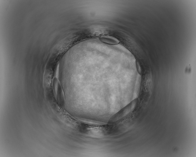 X0000114560417200911091222
