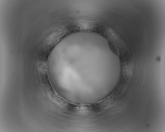 X0000114560419200911091222