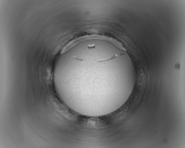 X0000114560420200911091222