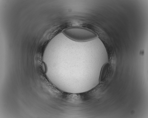X0000114560421200911091222