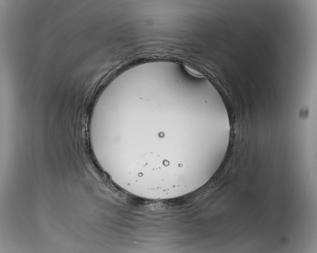 X0000114560423200911091222
