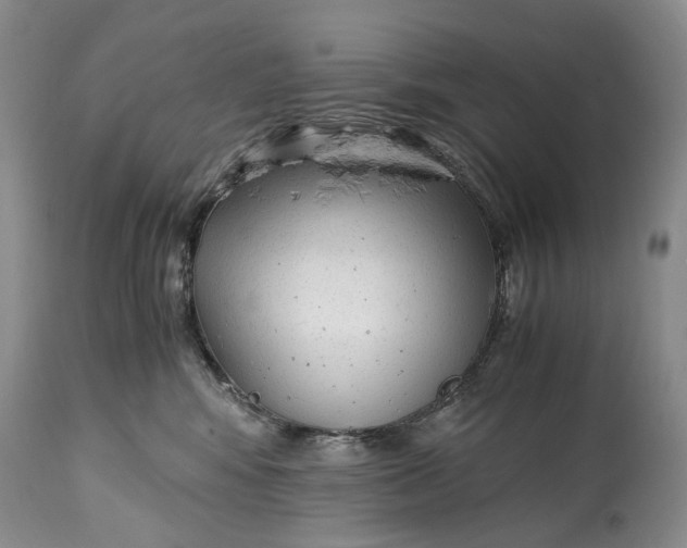 X0000114560424200911091222