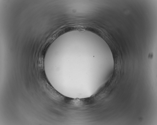 X0000114560425200911091222