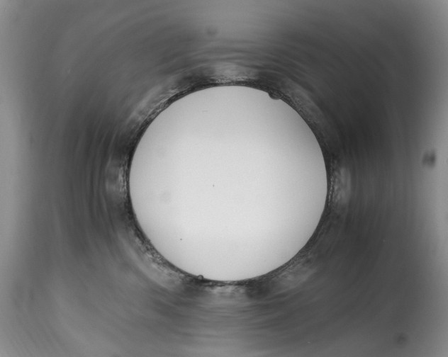 X0000114560426200911091222