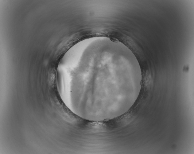 X0000114560427200911091222