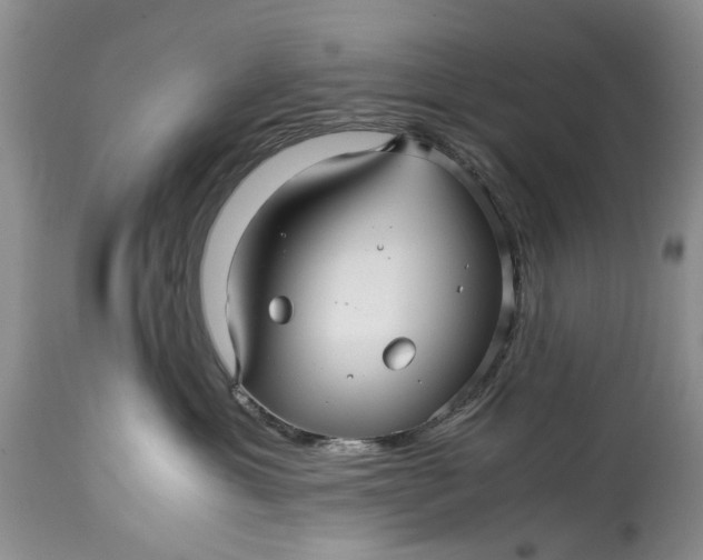 X0000114560429200911091222