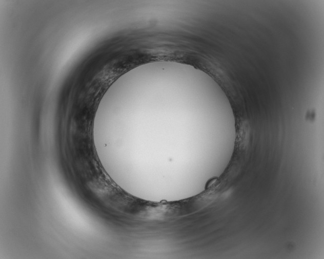 X0000114560430200911091222