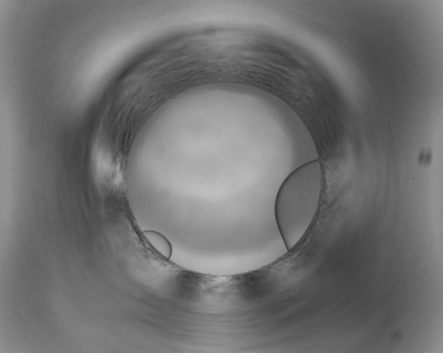 X0000114560431200911091222