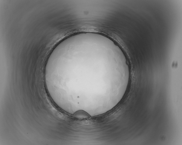 X0000114560433200911091221