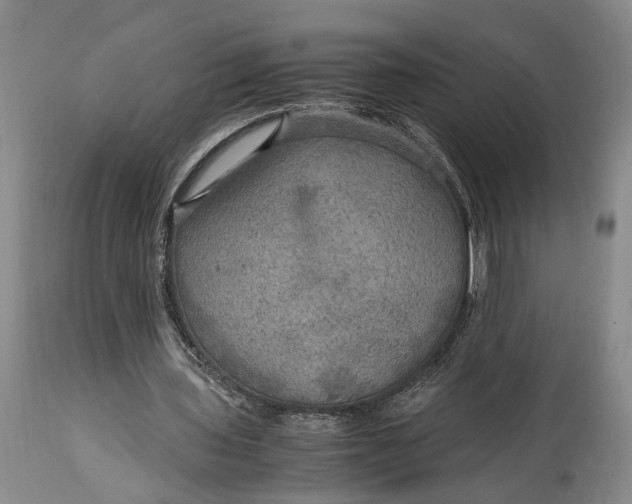 X0000114560435200911091221
