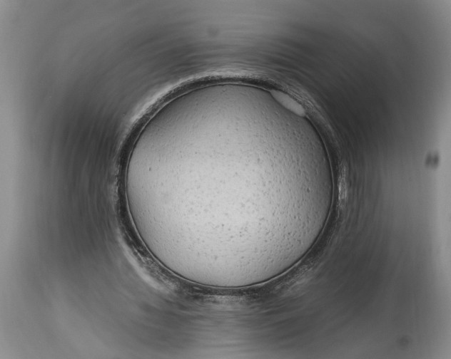 X0000114560436200911091221