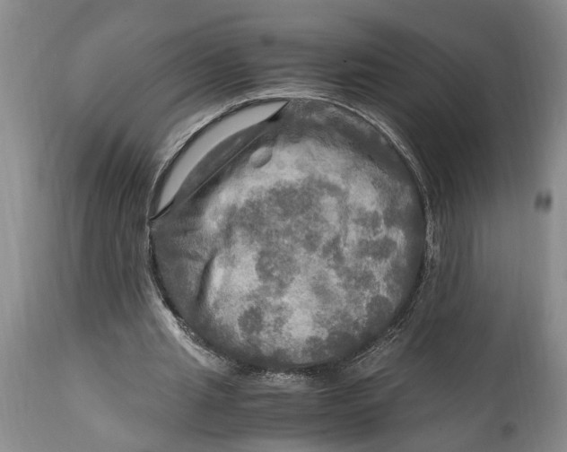 X0000114560437200911091221