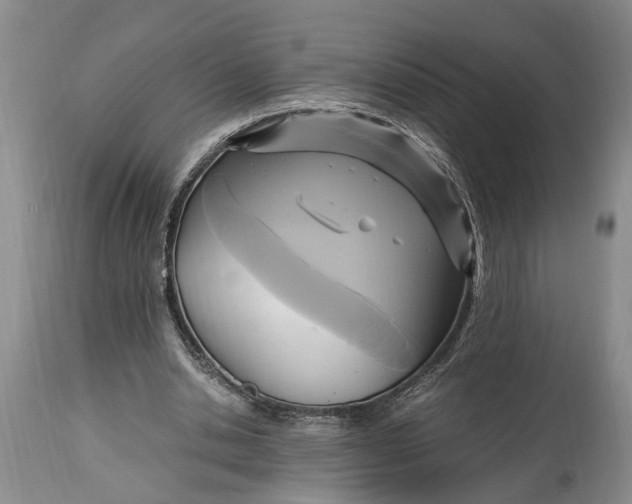 X0000114560438200911091221