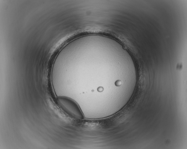 X0000114560440200911091221