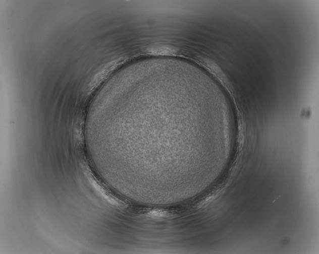 X0000114560441200911091221