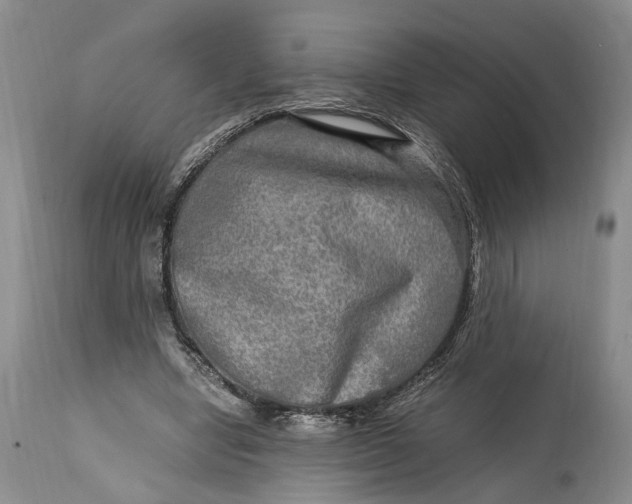 X0000114560442200911091221