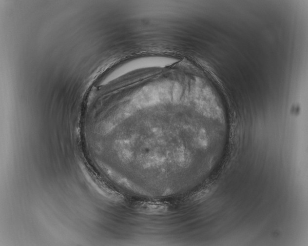 X0000114560443200911091222