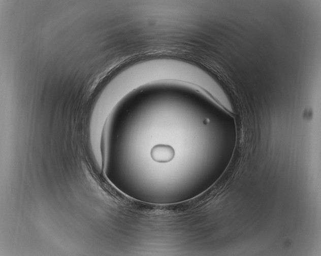 X0000114560444200911091222