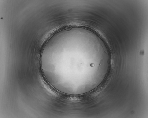 X0000114560445200911091222