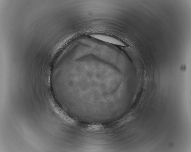 X0000114560446200911091222