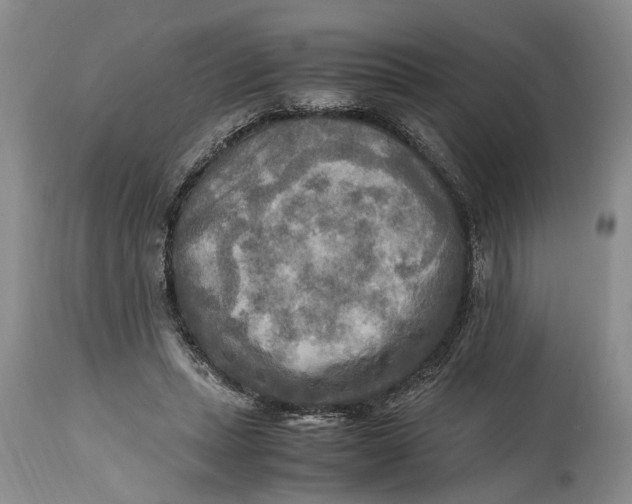 X0000114560447200911091222