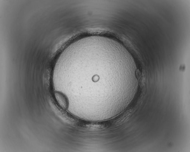 X0000114560448200911091222