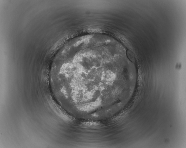 X0000114560449200911091222