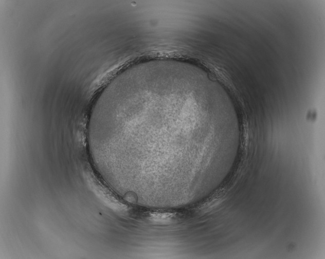 X0000114560450200911091222