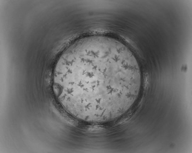 X0000114560451200911091222