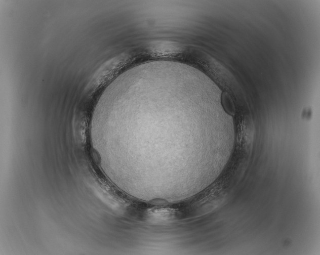 X0000114560452200911091222