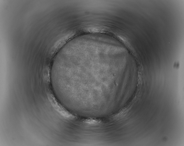 X0000114560453200911091222