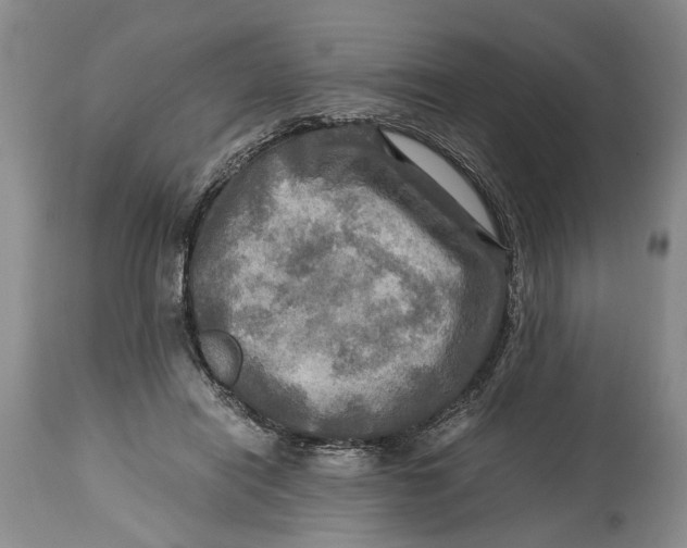 X0000114560454200911091222